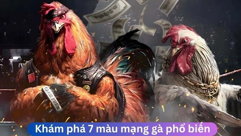 Khám phá 7 màu mạng gà phổ biến