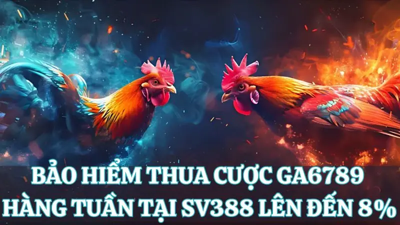 Bảo hiểm thua cược hàng tuần SV388 lên đến 8%