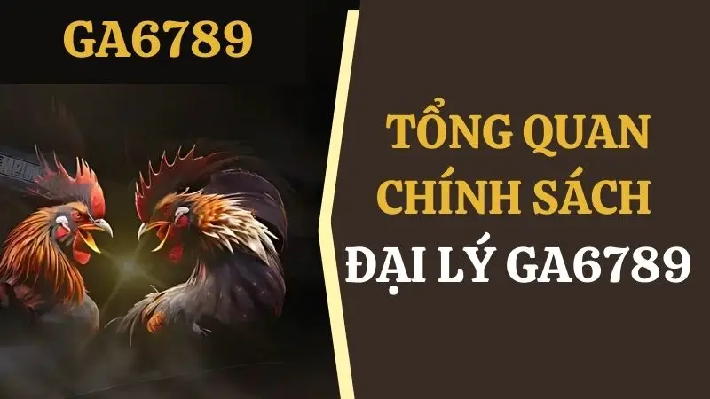Chính sách đại lý gà 6789 được nhà cái chia sẻ