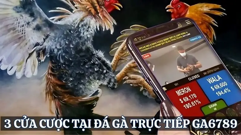 Các loại hình đặt cược cơ bản trong Đá gà trực tiếp Ga6789