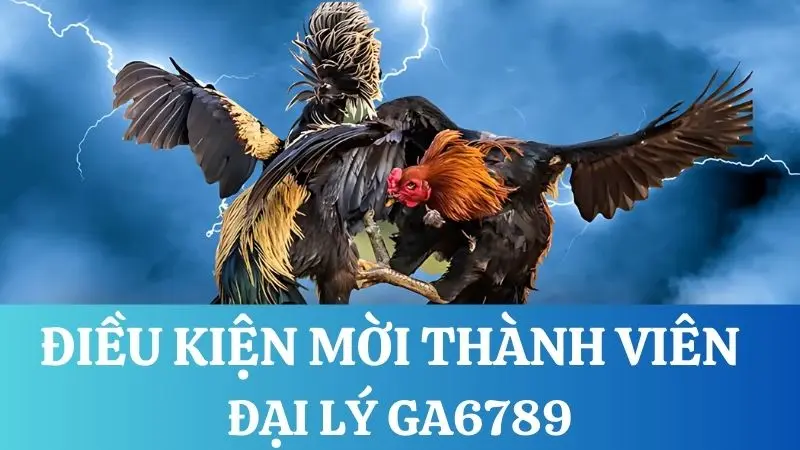 Điều kiện mời thành viên nhận thưởng hoa hồng đại lý gà 6789