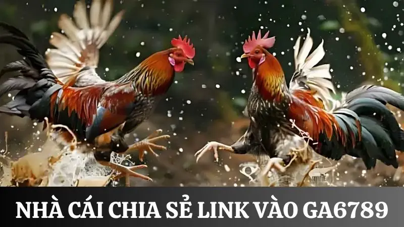 Thống kê link vào Ga6789 được nhà cái chia sẻ